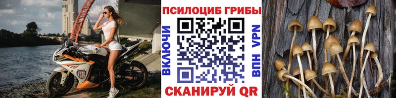 kraken ONION  Мамадыш  Галлюциногенные грибы мухоморы 